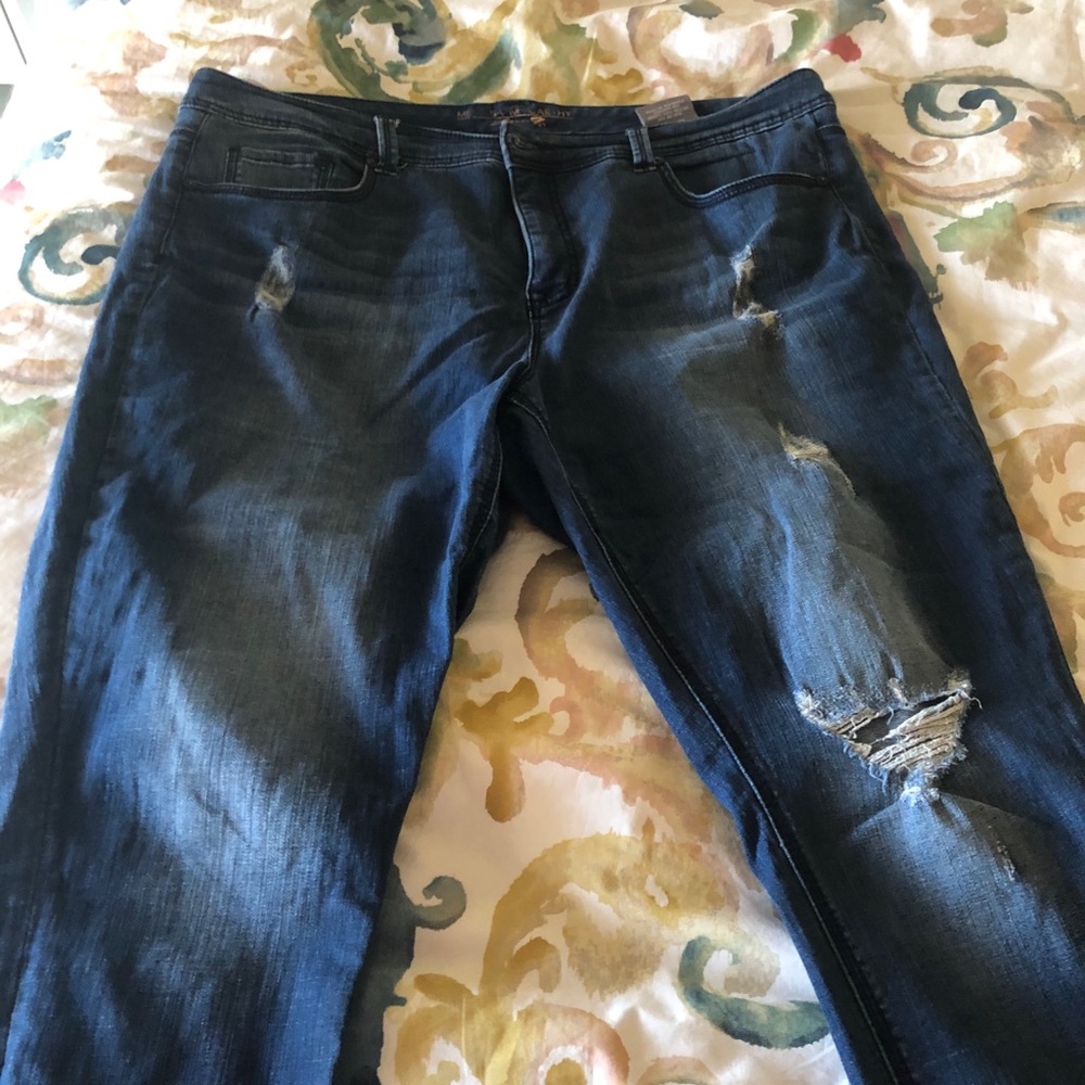 Melissa McCarthy ✏️ Distressed Jeans 18W